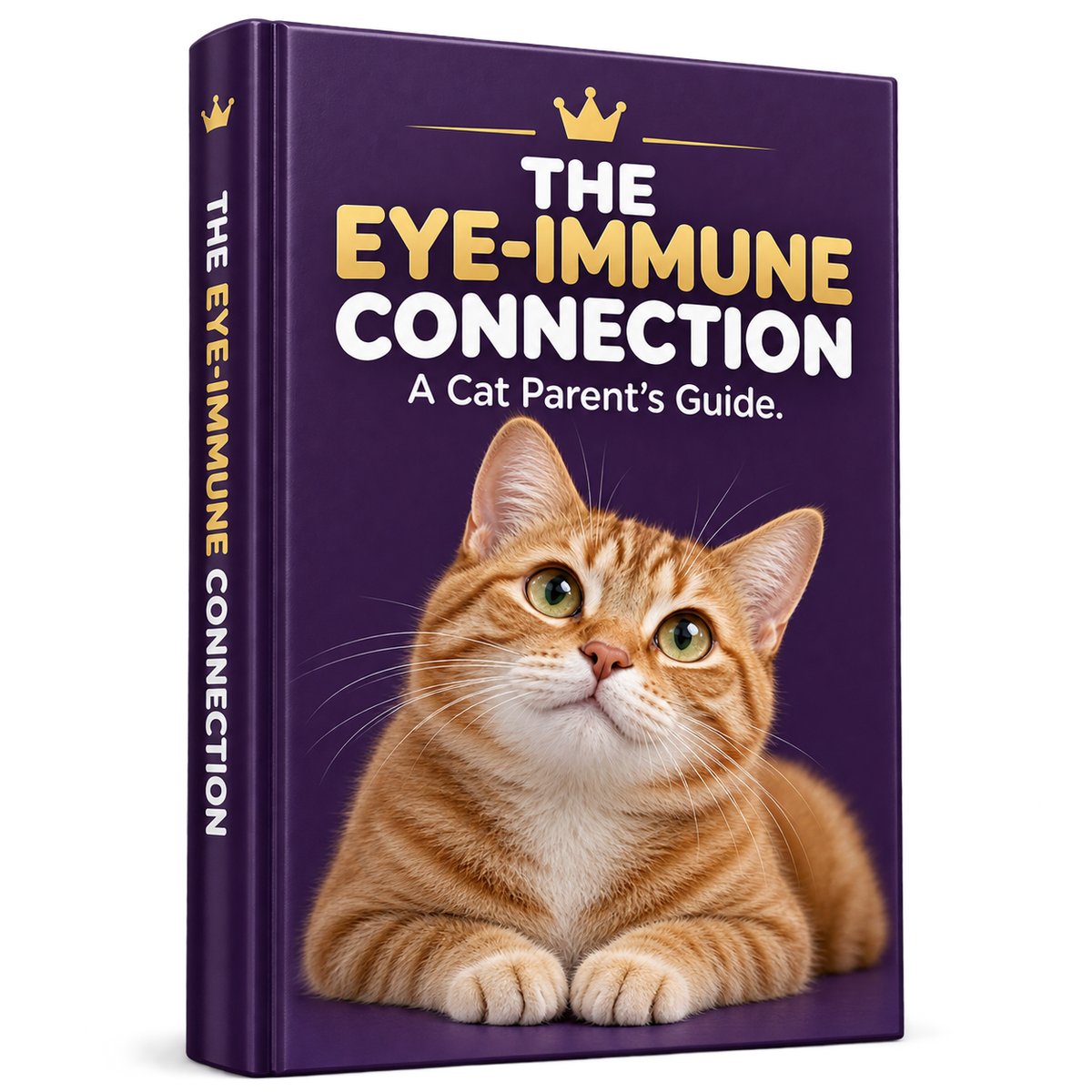 The Eye-Immune Health Guide