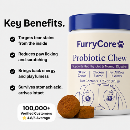 FurryCore Daily Probiotic Chews - Gut, Skin & Coat Support