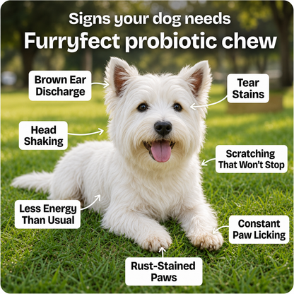 FurryCore Daily Probiotic Chews - Gut, Skin & Coat Support