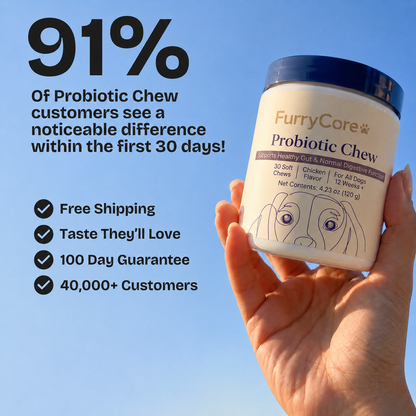 FurryCore Daily Probiotic Chews - Gut, Skin & Coat Support